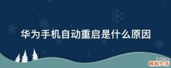 华为手机自动重启是什么原因