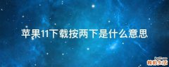 苹果11下载按两下是什么意思