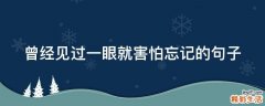 曾经见过一眼就害怕忘记的句子