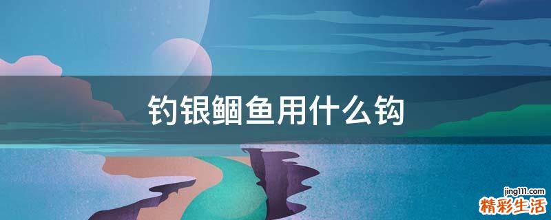 钓银鲴鱼用什么钩