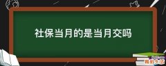社保当月的是当月交吗