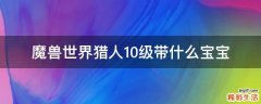 魔兽世界猎人10级带什么宝宝