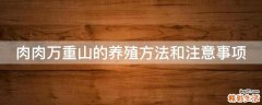 肉肉万重山的养殖方法和注意事项