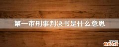 第一审刑事判决书是什么意思
