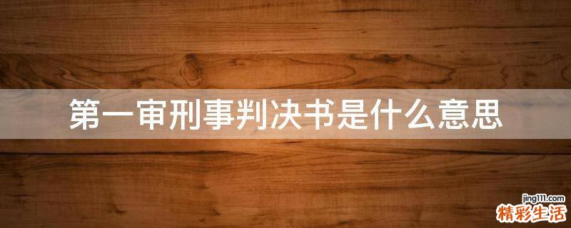 第一审刑事判决书是什么意思
