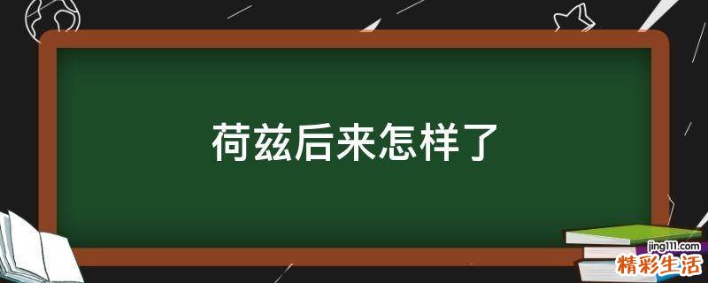 荷兹后来怎样了
