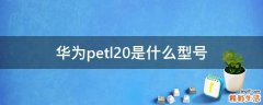 华为petl20是什么型号