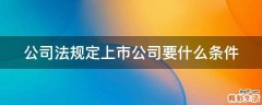 公司法规定上市公司要什么条件