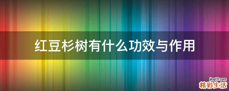 红豆杉树有什么功效与作用