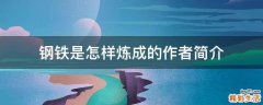 钢铁是怎样炼成的作者简介