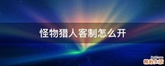 怪物猎人客制怎么开