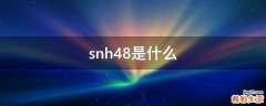 snh48是什么