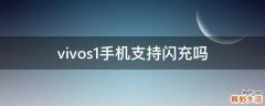 vivos1手机支持闪充吗