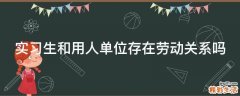实习生和用人单位存在劳动关系吗