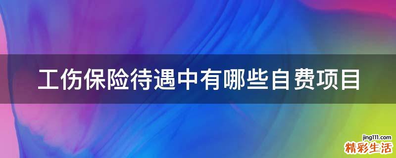 工伤保险待遇中有哪些自费项目