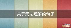 關(guān)于無(wú)法理解的句子