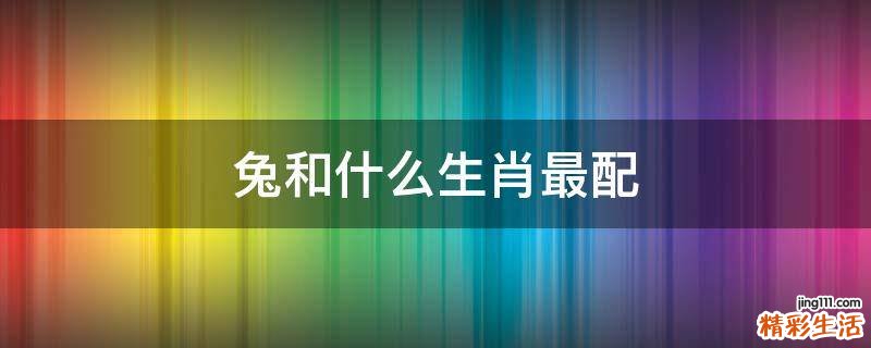 兔和什么生肖最配