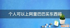 个人可以上阿里巴巴买东西吗