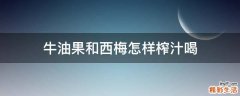 牛油果和西梅怎样榨汁喝