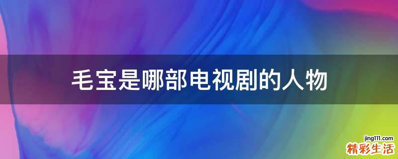毛宝是哪部电视剧的人物