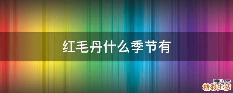 红毛丹什么季节有