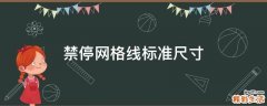 禁停网格线标准尺寸