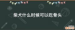 柴犬什么时候可以吃骨头