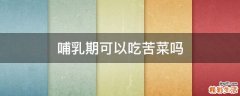 哺乳期可以吃苦菜吗