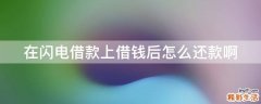 在闪电借款上借钱后怎么还款啊
