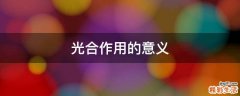 光合作用的意义