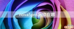 nova5pro指纹在哪