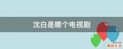 沈白是哪个电视剧