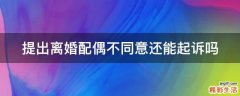 提出離婚配偶不同意還能起訴嗎