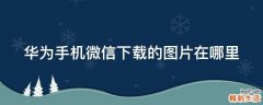 华为手机微信下载的图片在哪里