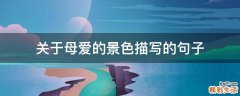 关于母爱的景色描写的句子