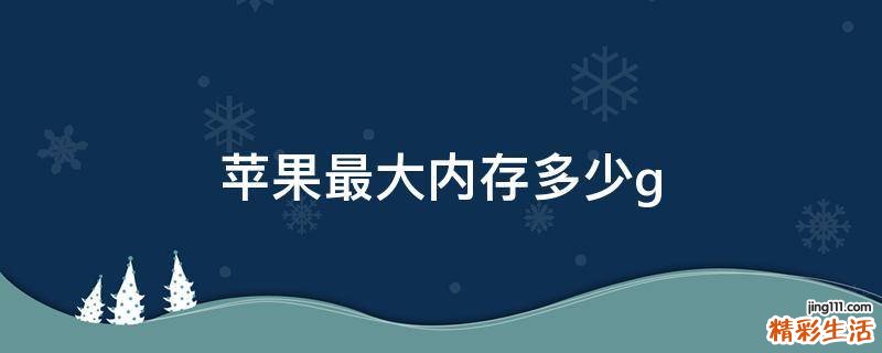 苹果最大内存多少g