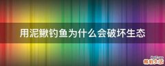 用泥鳅钓鱼为什么会破坏生态