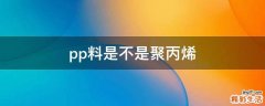 pp料是不是聚丙烯