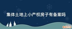 集体土地上小产权房子有备案吗