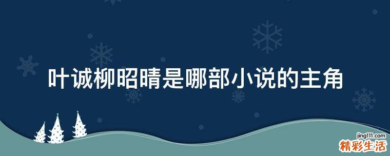 叶诚柳昭晴是哪部小说的主角