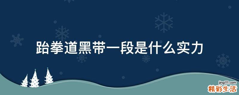 跆拳道黑帶一段是什么實力