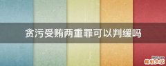 贪污受贿两重罪可以判缓吗