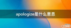 apologize是什么意思