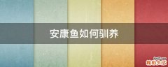 安康鱼如何驯养