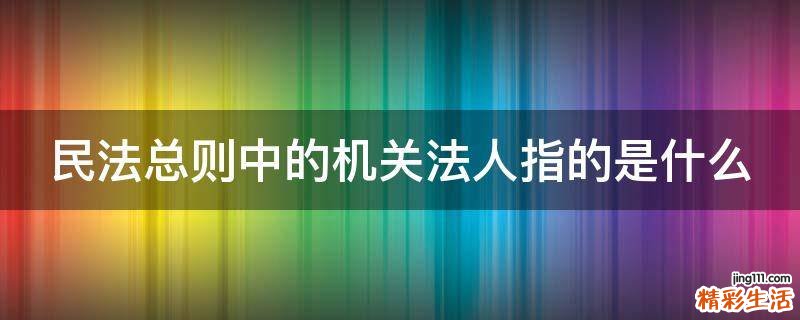 民法总则中的机关法人指的是什么