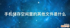 手机储存空间里的其他文件是什么