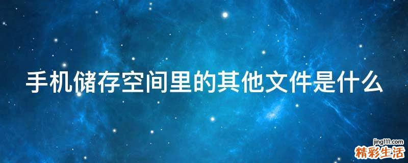 手机储存空间里的其他文件是什么