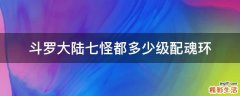 斗罗大陆七怪都多少级配魂环