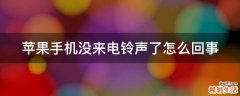 苹果手机没来电铃声了怎么回事