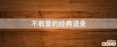 不敢爱的经典语录
